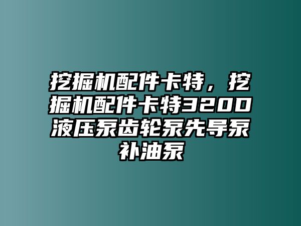 挖掘機配件卡特，挖掘機配件卡特320D液壓泵齒輪泵先導(dǎo)泵補油泵