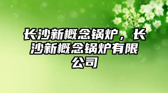 長(zhǎng)沙新概念鍋爐，長(zhǎng)沙新概念鍋爐有限公司