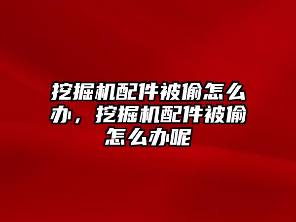 挖掘機配件被偷怎么辦，挖掘機配件被偷怎么辦呢