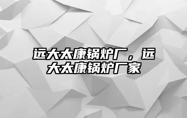 遠大太康鍋爐廠，遠大太康鍋爐廠家