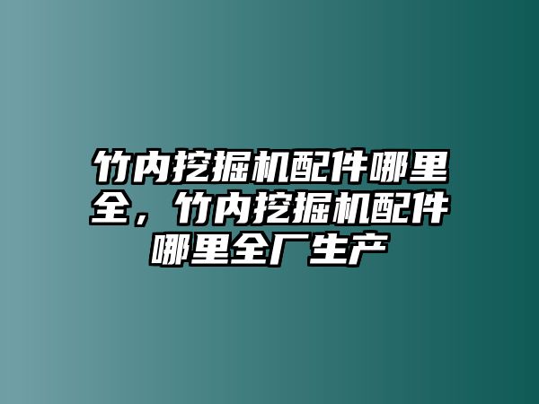 竹內(nèi)挖掘機配件哪里全，竹內(nèi)挖掘機配件哪里全廠生產(chǎn)