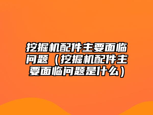 挖掘機(jī)配件主要面臨問(wèn)題（挖掘機(jī)配件主要面臨問(wèn)題是什么）