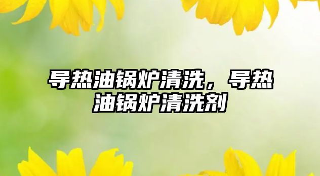 導(dǎo)熱油鍋爐清洗，導(dǎo)熱油鍋爐清洗劑