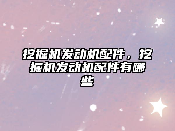 挖掘機發(fā)動機配件，挖掘機發(fā)動機配件有哪些