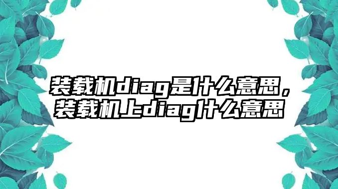 裝載機diag是什么意思，裝載機上diag什么意思