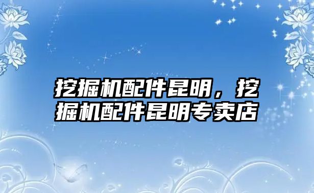 挖掘機配件昆明，挖掘機配件昆明專賣店