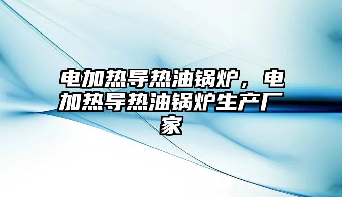 電加熱導(dǎo)熱油鍋爐，電加熱導(dǎo)熱油鍋爐生產(chǎn)廠家