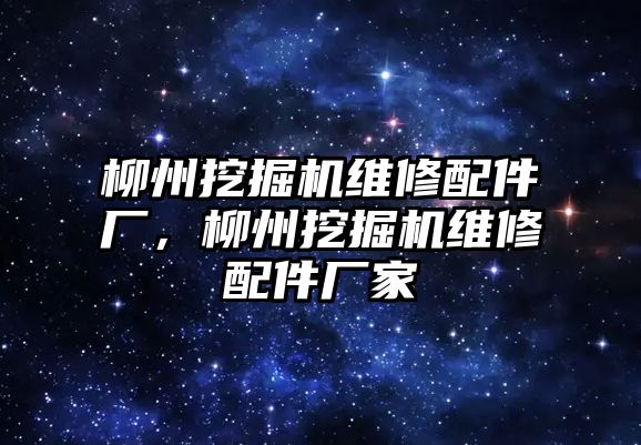 柳州挖掘機(jī)維修配件廠，柳州挖掘機(jī)維修配件廠家