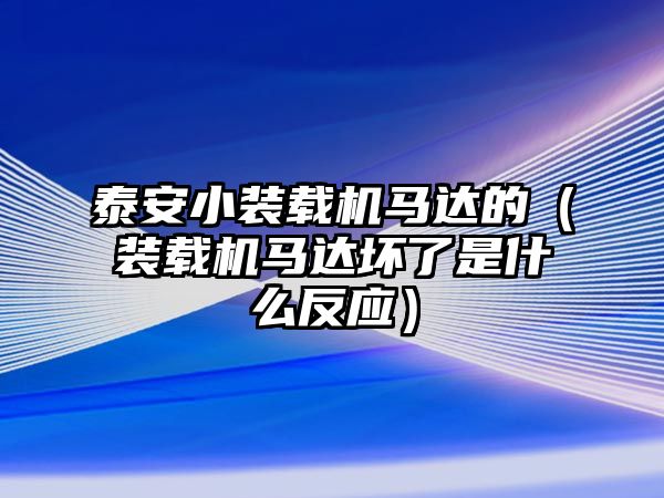 泰安小裝載機馬達的（裝載機馬達壞了是什么反應(yīng)）