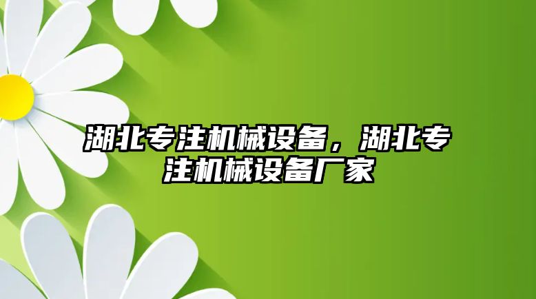 湖北專注機(jī)械設(shè)備，湖北專注機(jī)械設(shè)備廠家