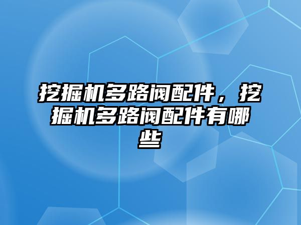 挖掘機(jī)多路閥配件，挖掘機(jī)多路閥配件有哪些