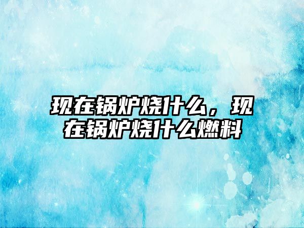 現(xiàn)在鍋爐燒什么，現(xiàn)在鍋爐燒什么燃料