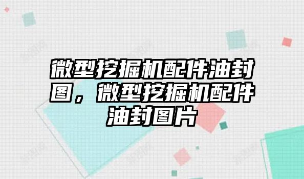 微型挖掘機配件油封圖，微型挖掘機配件油封圖片