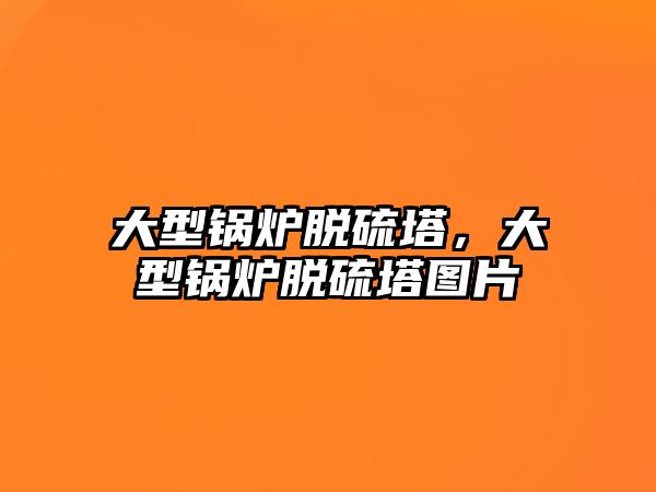 大型鍋爐脫硫塔，大型鍋爐脫硫塔圖片