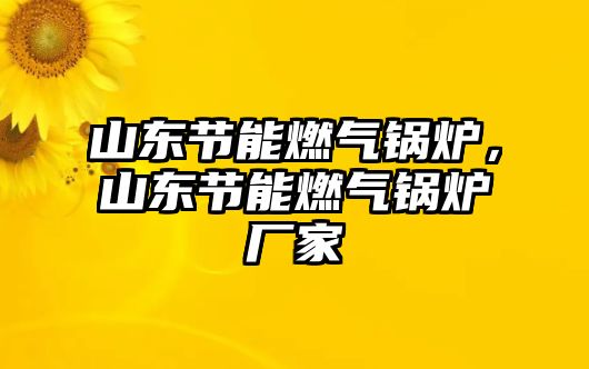 山東節(jié)能燃?xì)忮仩t，山東節(jié)能燃?xì)忮仩t廠家