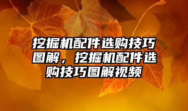 挖掘機配件選購技巧圖解，挖掘機配件選購技巧圖解視頻