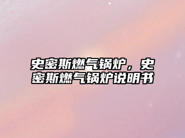 史密斯燃?xì)忮仩t，史密斯燃?xì)忮仩t說明書