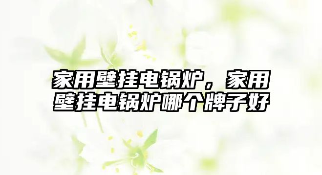 家用壁掛電鍋爐，家用壁掛電鍋爐哪個(gè)牌子好