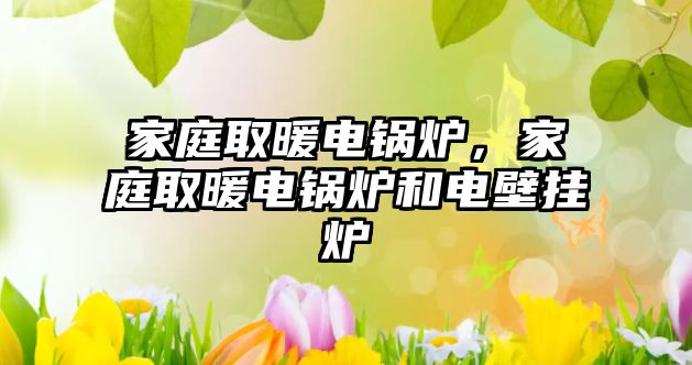 家庭取暖電鍋爐，家庭取暖電鍋爐和電壁掛爐