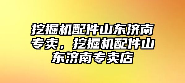 挖掘機(jī)配件山東濟(jì)南專賣，挖掘機(jī)配件山東濟(jì)南專賣店