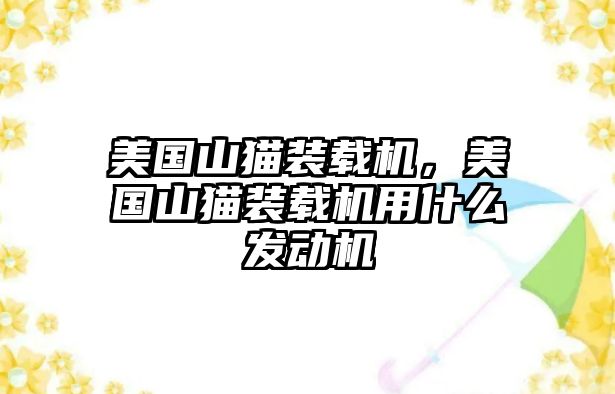 美國山貓裝載機(jī)，美國山貓裝載機(jī)用什么發(fā)動(dòng)機(jī)