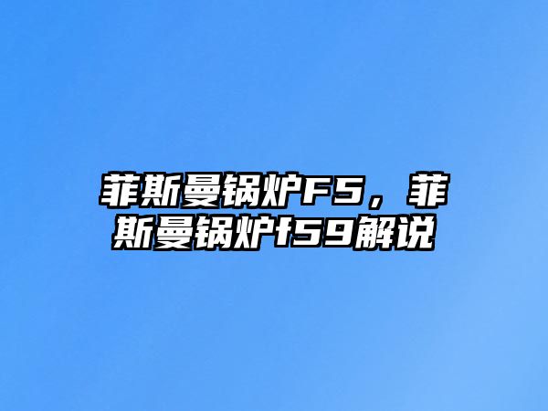 菲斯曼鍋爐F5，菲斯曼鍋爐f59解說(shuō)