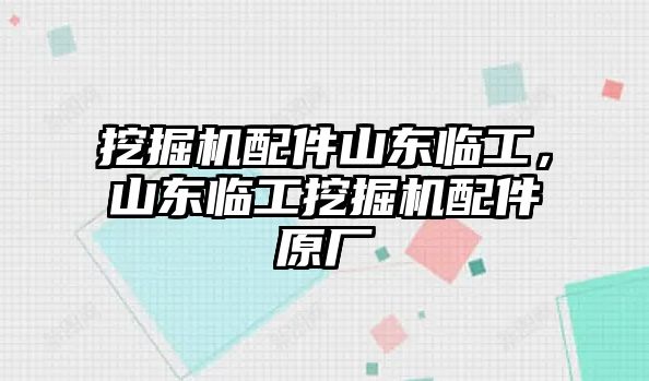 挖掘機配件山東臨工，山東臨工挖掘機配件原廠