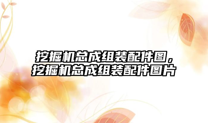 挖掘機總成組裝配件圖，挖掘機總成組裝配件圖片