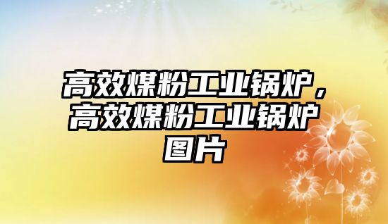 高效煤粉工業(yè)鍋爐，高效煤粉工業(yè)鍋爐圖片