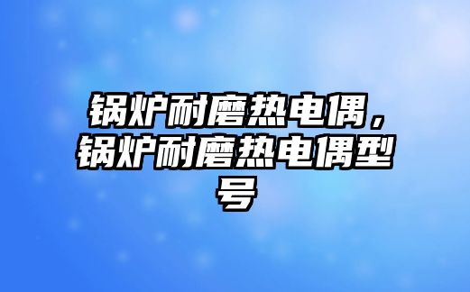 鍋爐耐磨熱電偶，鍋爐耐磨熱電偶型號(hào)