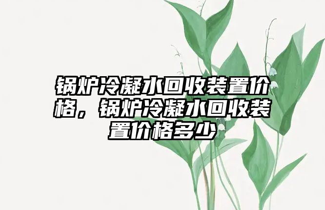 鍋爐冷凝水回收裝置價格，鍋爐冷凝水回收裝置價格多少