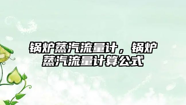 鍋爐蒸汽流量計，鍋爐蒸汽流量計算公式