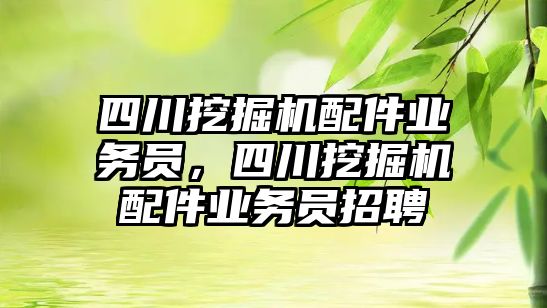 四川挖掘機配件業(yè)務(wù)員，四川挖掘機配件業(yè)務(wù)員招聘