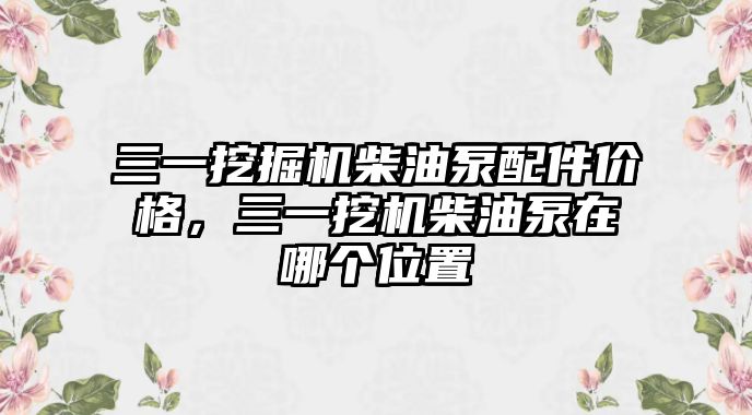 三一挖掘機柴油泵配件價格，三一挖機柴油泵在哪個位置