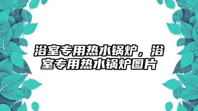 浴室專用熱水鍋爐，浴室專用熱水鍋爐圖片