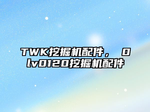 TWK挖掘機配件，ⅴ0lv0120挖掘機配件