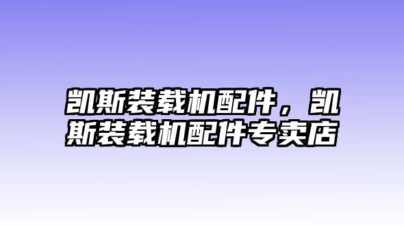 凱斯裝載機(jī)配件，凱斯裝載機(jī)配件專賣店