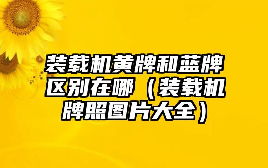 裝載機黃牌和藍牌區(qū)別在哪（裝載機牌照圖片大全）