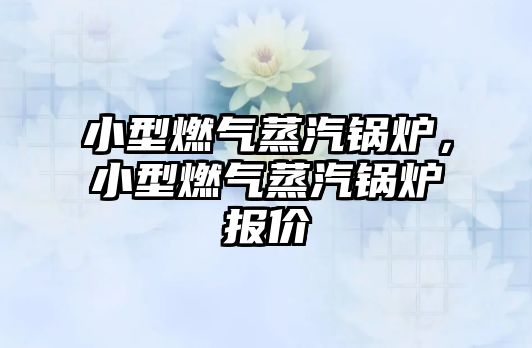 小型燃氣蒸汽鍋爐，小型燃氣蒸汽鍋爐報價