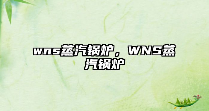 wns蒸汽鍋爐，WNS蒸汽鍋爐