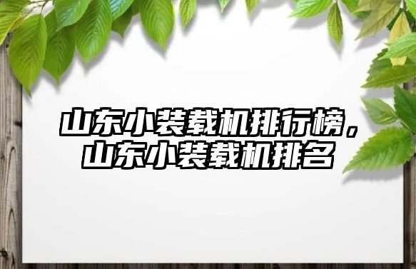 山東小裝載機排行榜，山東小裝載機排名