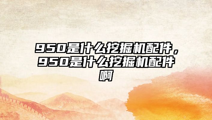 950是什么挖掘機配件，950是什么挖掘機配件啊