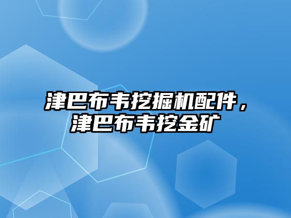 津巴布韋挖掘機(jī)配件，津巴布韋挖金礦