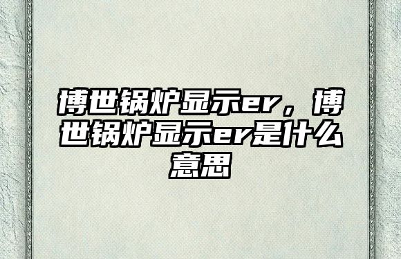 博世鍋爐顯示er，博世鍋爐顯示er是什么意思