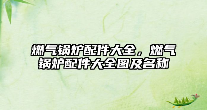 燃?xì)忮仩t配件大全，燃?xì)忮仩t配件大全圖及名稱