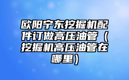 歐陽寧東挖掘機(jī)配件訂做高壓油管（挖掘機(jī)高壓油管在哪里）