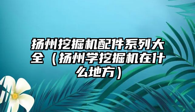 揚州挖掘機配件系列大全（揚州學(xué)挖掘機在什么地方）