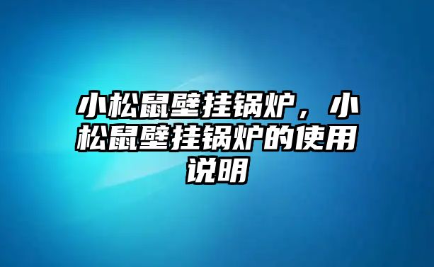 小松鼠壁掛鍋爐，小松鼠壁掛鍋爐的使用說明