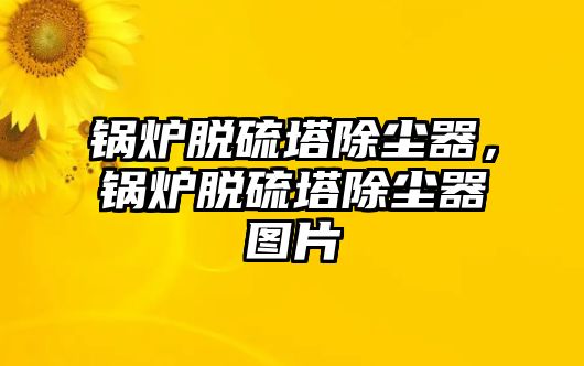 鍋爐脫硫塔除塵器，鍋爐脫硫塔除塵器圖片