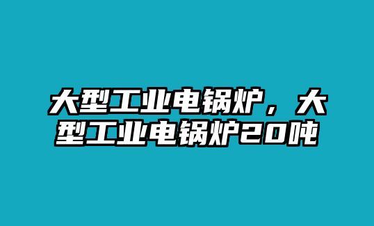 大型工業(yè)電鍋爐，大型工業(yè)電鍋爐20噸